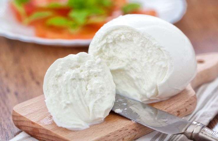 Mozzarella 